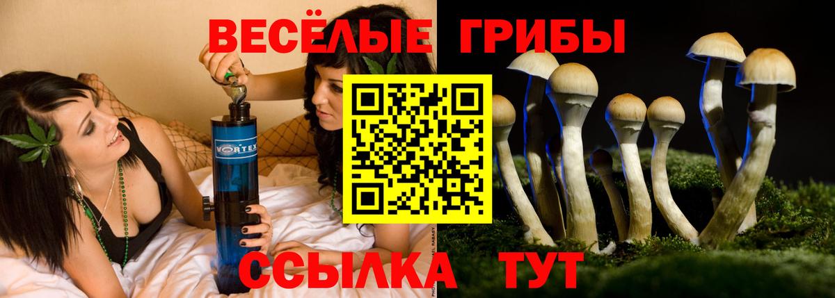Псилоцибиновые грибы Psilocybe  Вход с VPN  Каменск-Шахтинский 